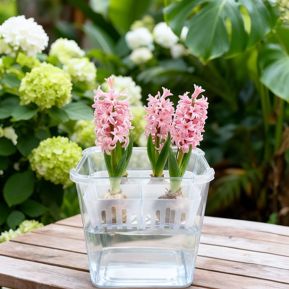 Hydroponic Vase For Tulip Lily - đánh giá và giá Vase Decor