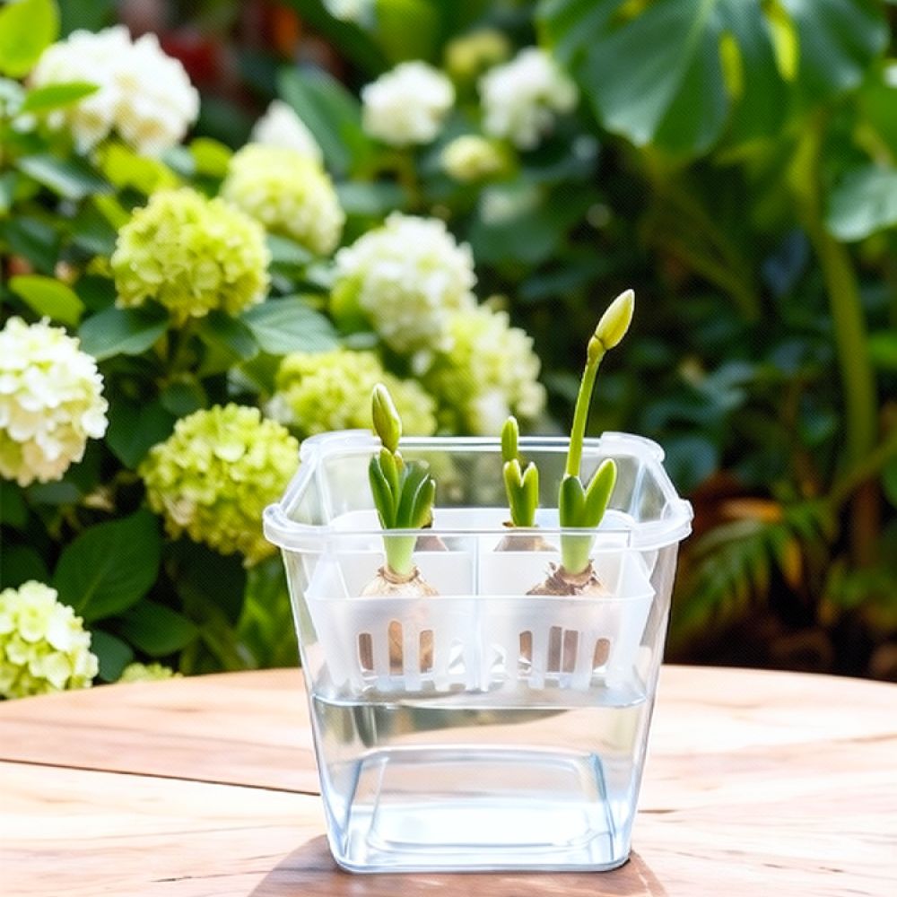 Hydroponic Vase For Tulip Lily - đánh giá và giá Vase Decor