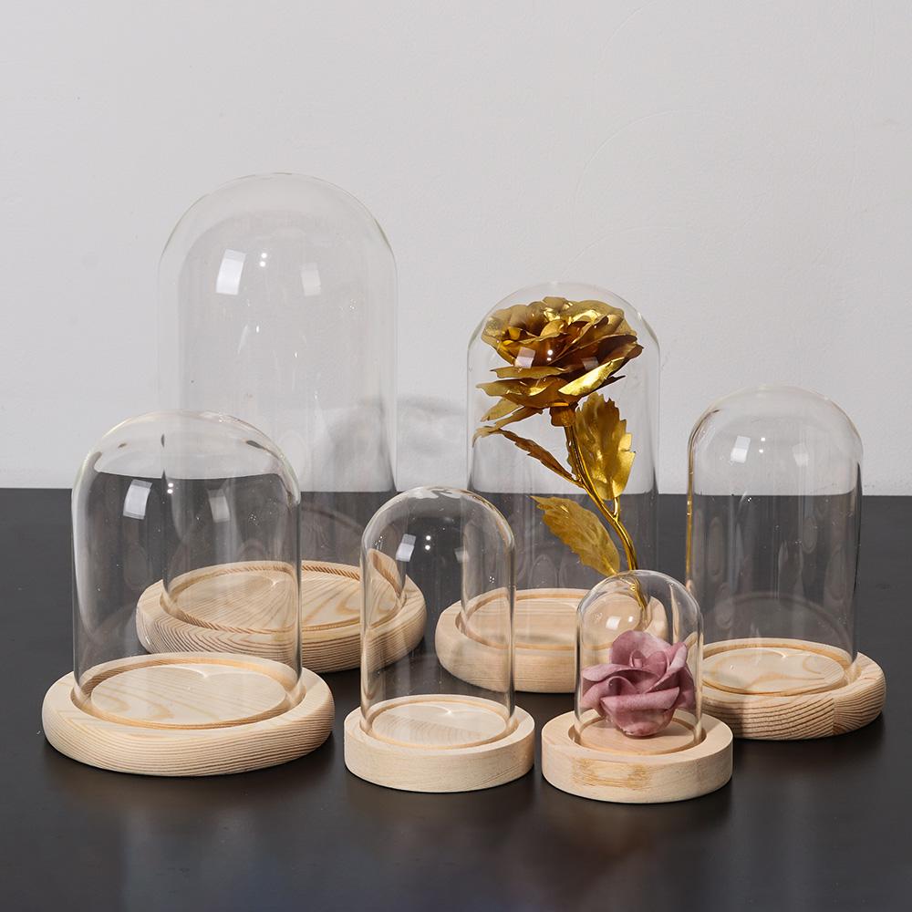 Fairy Lights Home Decor Terrar - đánh giá và giá Vase Decor